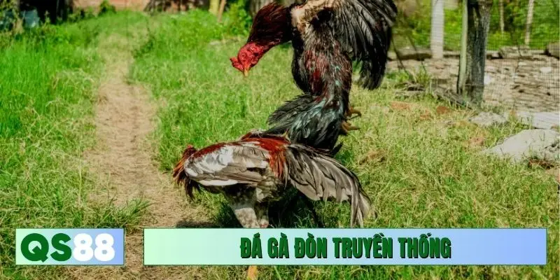 đá gà đòn truyền thống