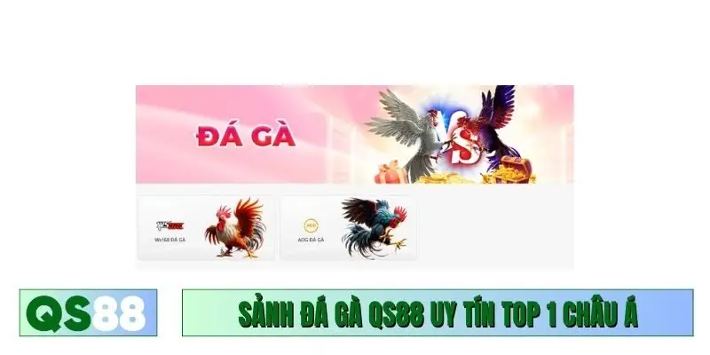 Sảnh đá gà QS88 uy tín top 1 châu Á